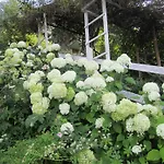 Il Giardino Dell'artemisia *