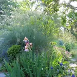 Il Giardino Dell'artemisia *