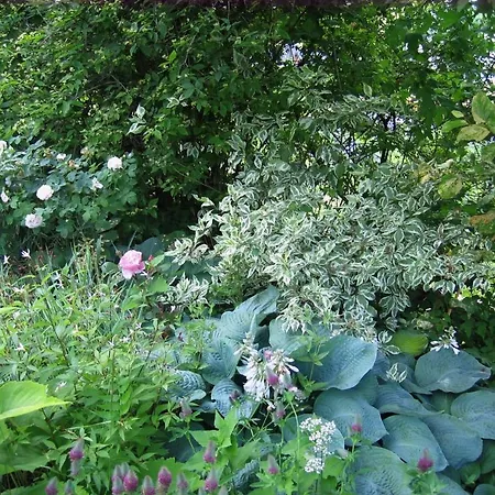 샬레 Il Giardino Dell'artemisia