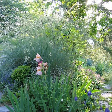 Il Giardino Dell'artemisia *