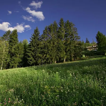 Domek alpejski Il Giardino Dell'artemisia *